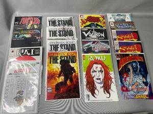 lot 83 image: Lot of Comics Inc Teenage Mutant Ninja Turtles, Street Fighter, Voltron, Dungeons & Dragons, Skate Man, Archer & Armstrong, Ameri Comics & Stephen King The Stand