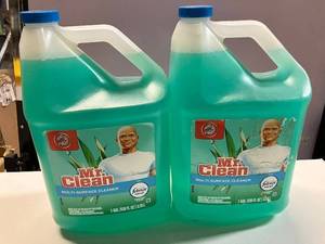 Mr. Cleaner Multi-Surface Cleaner