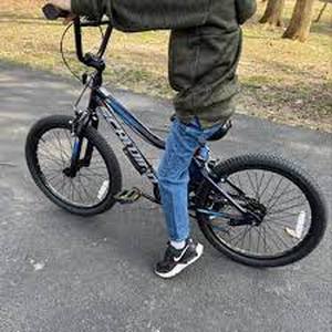 lot 217 image: Schwinn Falcon 20 Kids Bike-Blue