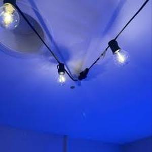 lot 255 image: LED Globe String Lights Black - Room Essentials-Missing a Bulb