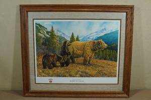 Curious Trio Ruger North Americans Framed Print - 358950