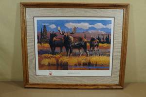 Alaskan Sentinels Ruger North Americans Framed Print - 358950