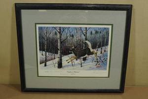 Les C Kouba Framed Print Frightened Whitetail