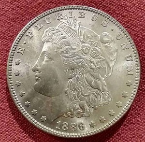 1886 Morgan Dollar