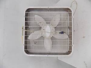 lot 142 image: Box Fan - Lasko