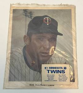 lot 195 image: Minnesota Twins Team Issues 10 Photo Set - Carew, Killebrew, Kaat, Oliva and More