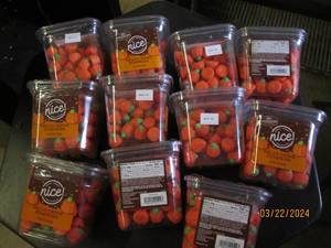 11 mello creme pumpkins best buy date of august 2025