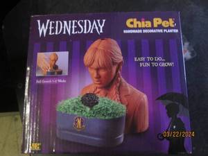 wednesday chia pet...