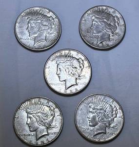 lot COIN02 image: Peace Dollars (5)