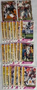 lot CARD20 image: 1991 Minnesota Vikings 1991 Pacific Card Set plus two Action Packed Cards