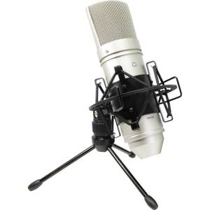 lot 29 image: TASCAM TM-80 Condenser Microphone  Silver