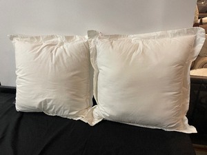 lot 310 image: Set of 2 Accent Pillows