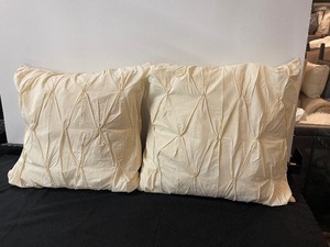 lot 312 image: Set of 2 Accent Pillows
