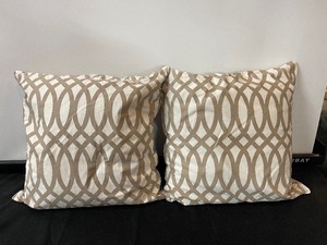 lot 313 image: Set of 2 Accent Pillows