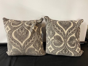 lot 305 image: Set of 2 Accent Pillows