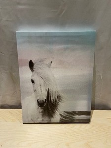 lot 474 image: Canvas Horse Wall Art