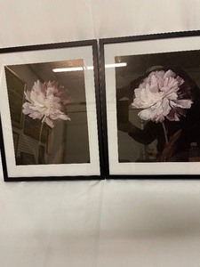 lot 422 image: Wall Decor - Purple & White Flower w Black Frame (Set of 2)