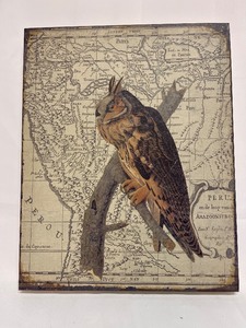 lot 438 image: Wall Decor - Canvas Art Owl looking over South America