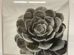 lot 472 image: Rose Wall Art