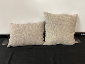 lot 142 image: Set of 2 Accent Pillows