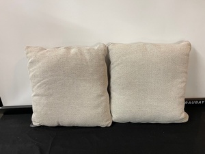 lot 146 image: Set of 2 Accent Pillows