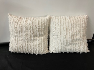 lot 148 image: Set of 2 Accent Pillows
