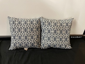 lot 213 image: Set of 2 Accent Pillows