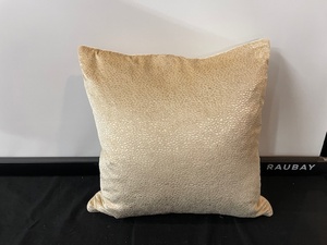lot 253 image: Single Accent Pillow