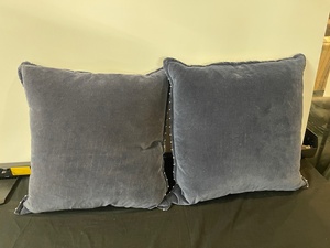 lot 163 image: Set of 2 Accent Pillows