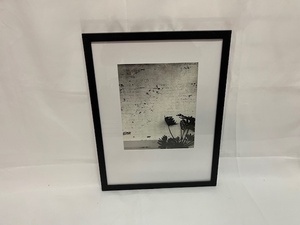 lot 414 image: Wall Decor - Plant w Black Frame