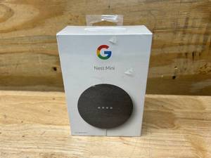 lot 42 image: Google Nest Mini
