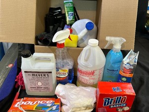 Assortment of Cleaning Supplies