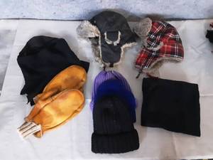 Assorted Winter Hats, Gloves, and Scarfs
