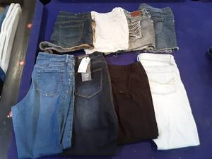 Assortment of Womens Pants and Shorts Sizes 15-17