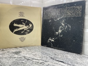 lot 85 image: Spirit  The Turtles- Vinyl LP Record Album