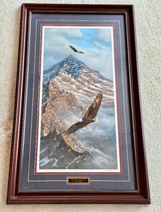 lot 34 image: Framed Print On Freedoms Wings by Rick Kelley