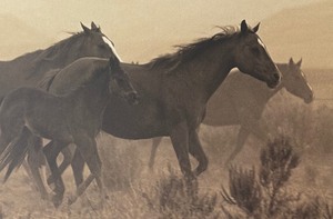 lot 77 image: Dessert Run Framed Print by Robert Dawson