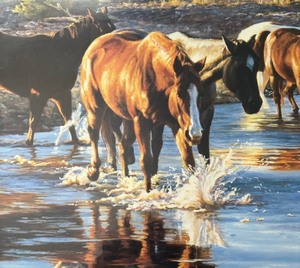 lot 79 image: Coming In at Sundown Framed Print by Tim Cox