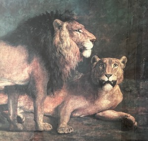 lot 150A image: Fierce Lion Print