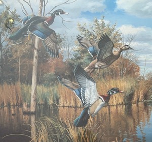 lot 115 image: Autumn Shades- Wood Ducks Limited Edition Framed Print by David A. Maass