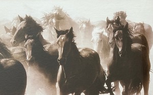 lot 129 image: Windstorm Framed Print by Tony Stromberg