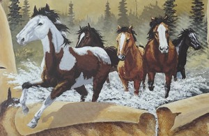 lot 199 image: The Visitors II Framed Print by Del Iron Cloud