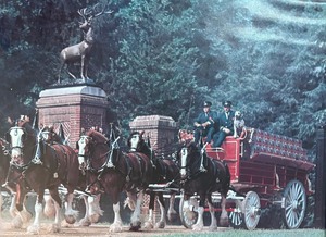 lot 400 image: Vintage Budweiser Clydesdales Print