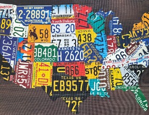 lot 421 image: Fun United States License Plate Canvas Print