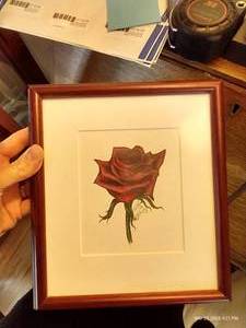 lot 126 image: Signed Framed Rose Art