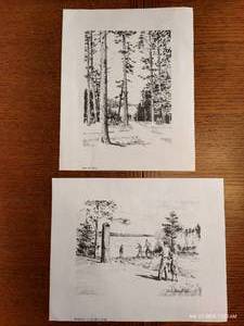 lot 152 image: Phil Austin Artwork - Lake And Pines And Headwaters Of The Mississippi