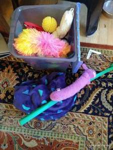 lot 221 image: Dog Toy Lot - Kong, Ball Throwers, Chewies, Etc.