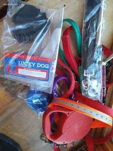 lot 243 image: Dog Leash And Collar Lot With Large Suede Leather Dog Boots