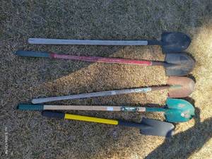 lot 606 image: 5 Shovels - 1 Chipped