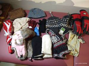 lot 732 image: Mittens, Gloves, Hats, Purse, Etc